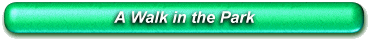 Press this button to find out more